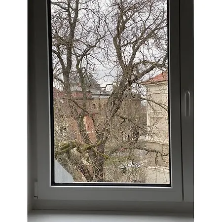 別荘 Am Neues Museum Comfortable ワイマール