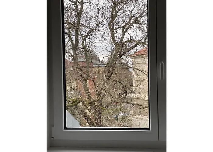 Feriehus Am Neues Museum Comfortable Weimar (Thuringia)